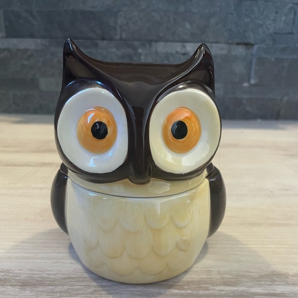 Avon Other - Avon Ceramic Owl Measuring Cup/Lidded Dish